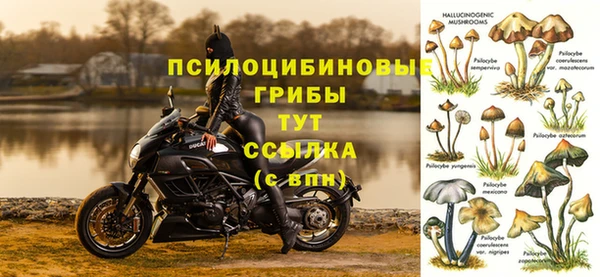гидропоника Алзамай
