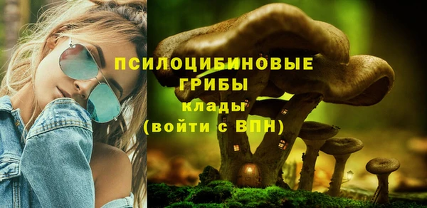 гидропоника Алзамай