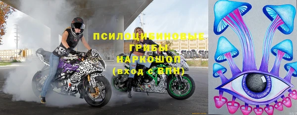 молекула духа Алексин