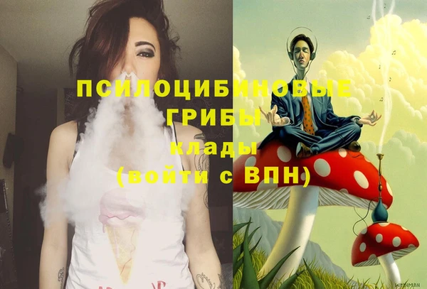 марки lsd Абаза