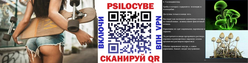 Псилоцибиновые грибы GOLDEN TEACHER  Енисейск 